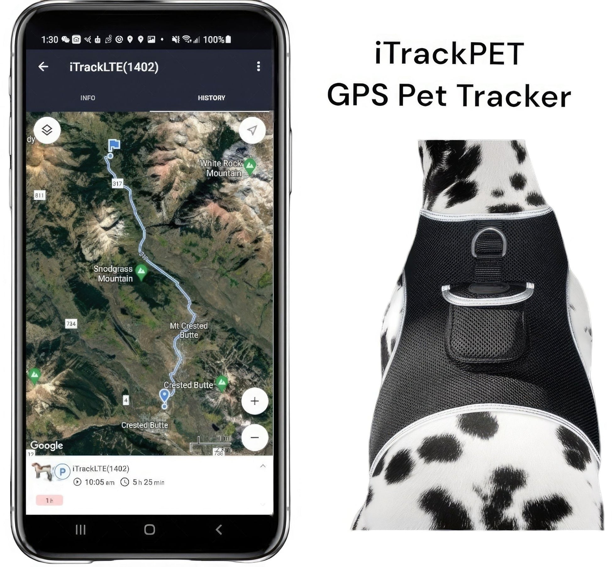 Phone app showing GPS tracking beside black GPS pet tracker module