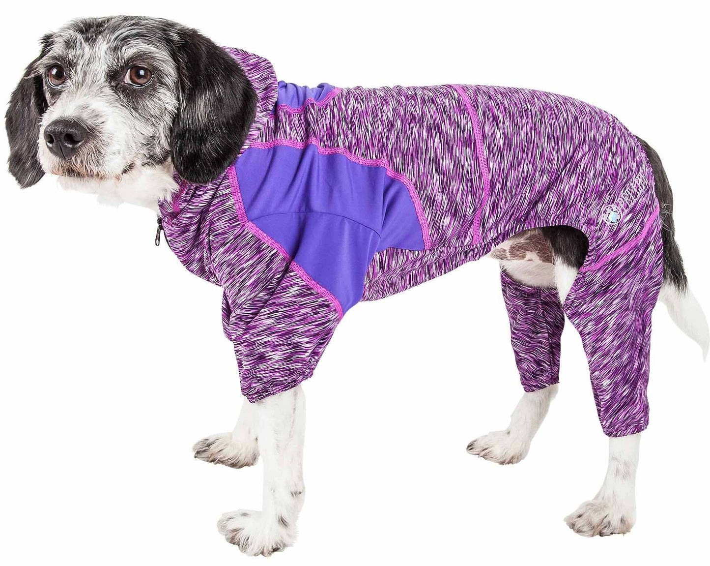 Dog wearing heather purple two-tone hoodie with blue panels and zipper front