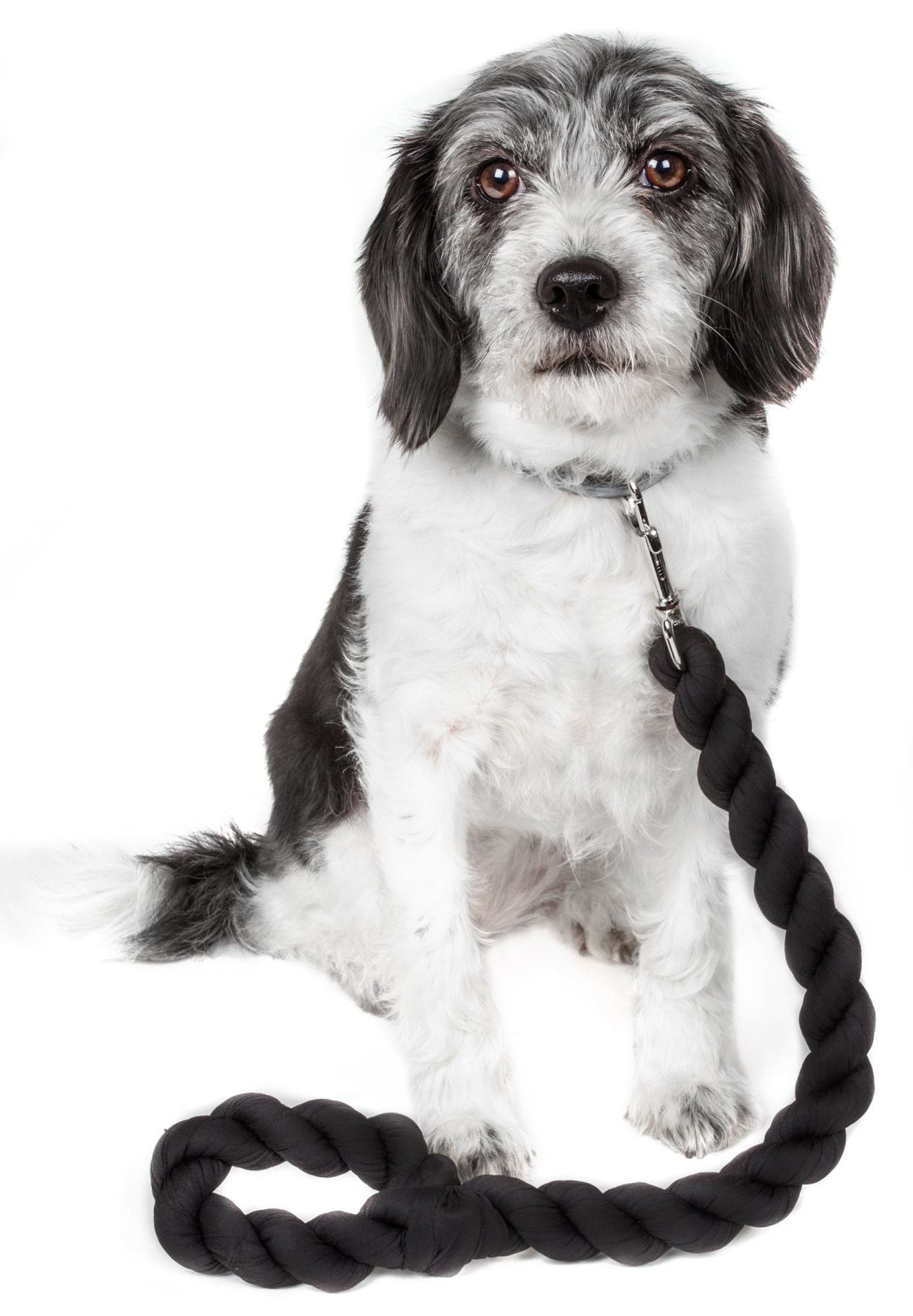 Black woven dog leash with braided rope handle and metal clip