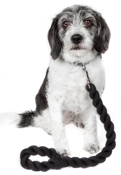 Black woven dog leash with braided rope handle and metal clip