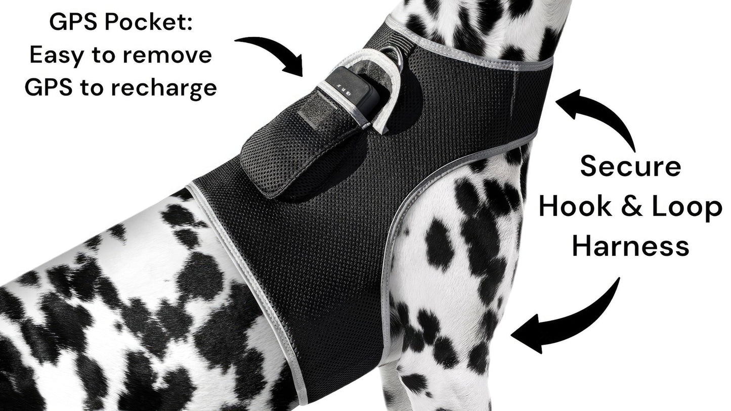 Black mesh dog harness with GPS tracker pocket and secure hook-and-loop straps