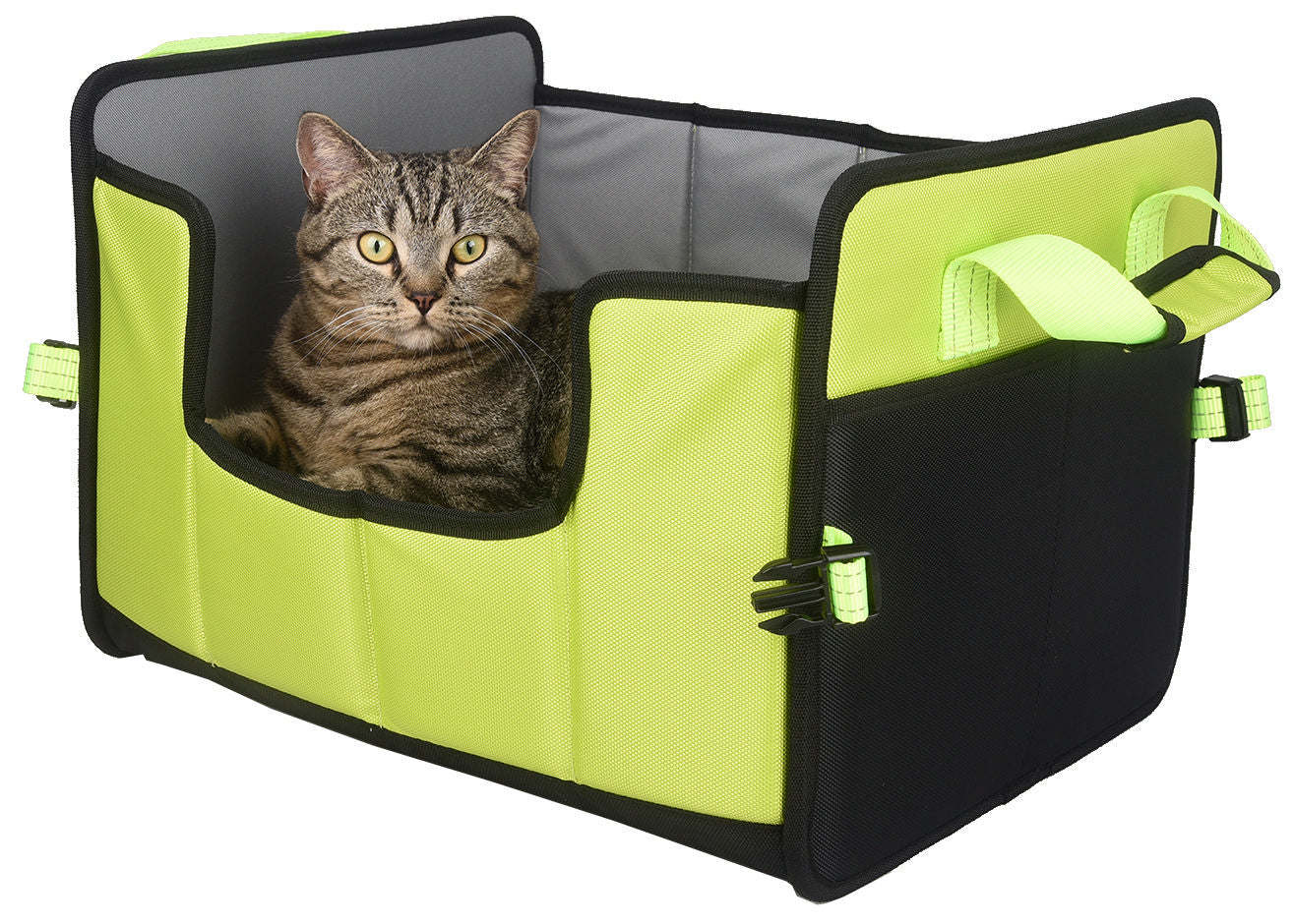 Folding travel pet bed in lime green and black with cat resting inside