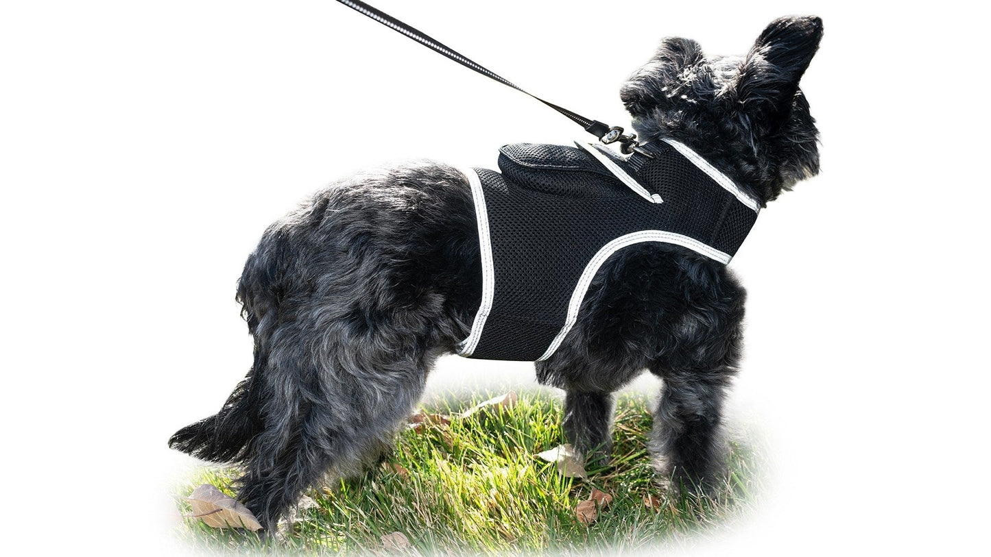 Black dog tracking harness with leash strap attached, shown on a grass field