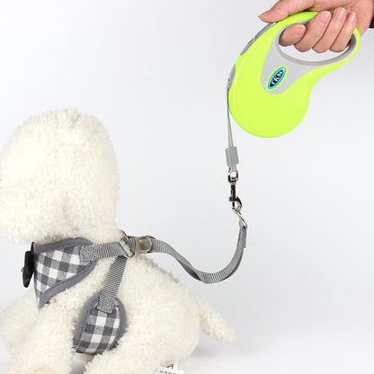 Retractable pet leash lime green on a dog with gray ribbon and metal clip