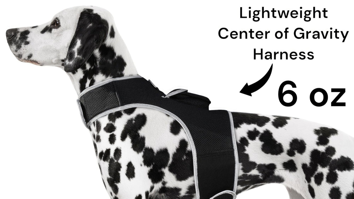 Spotted dog wearing lightweight center-gravity harness, 6 oz