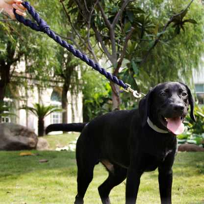 Navy braided dog leash on a standing dog, metal clip attached