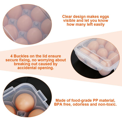 Clear egg holder with secured lid clips and hinged container for safe storage