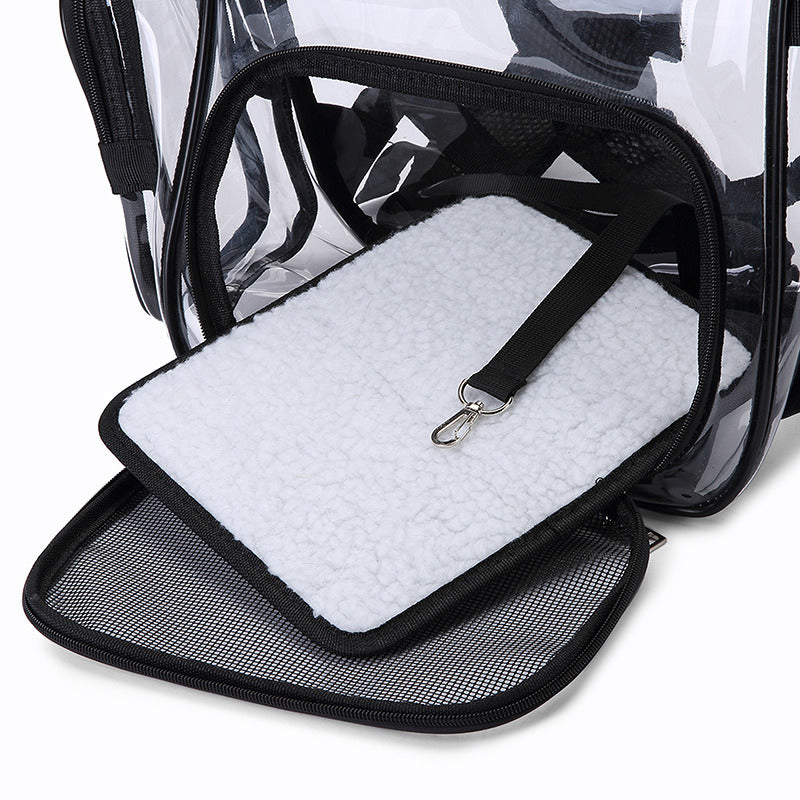 Front mesh panel with white padded liner inside transparent pet carrier