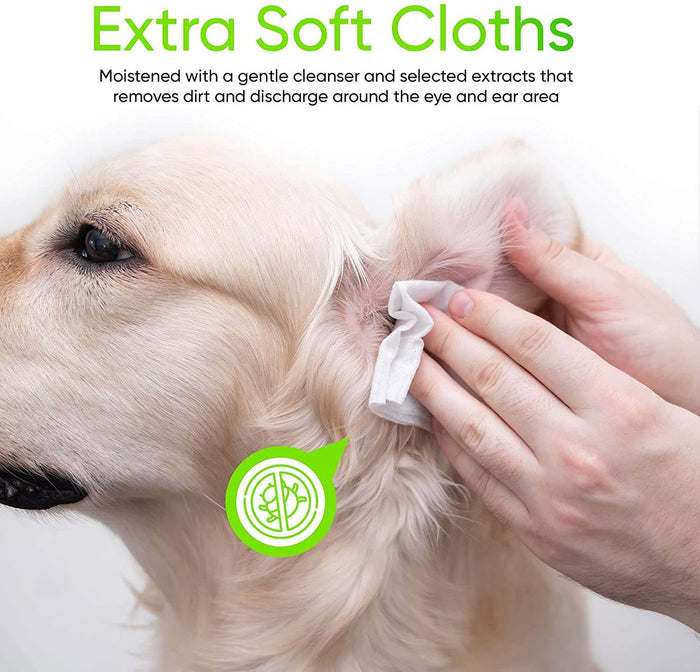 Dog ear cleaned with a soft white wipe cloth held to the ear