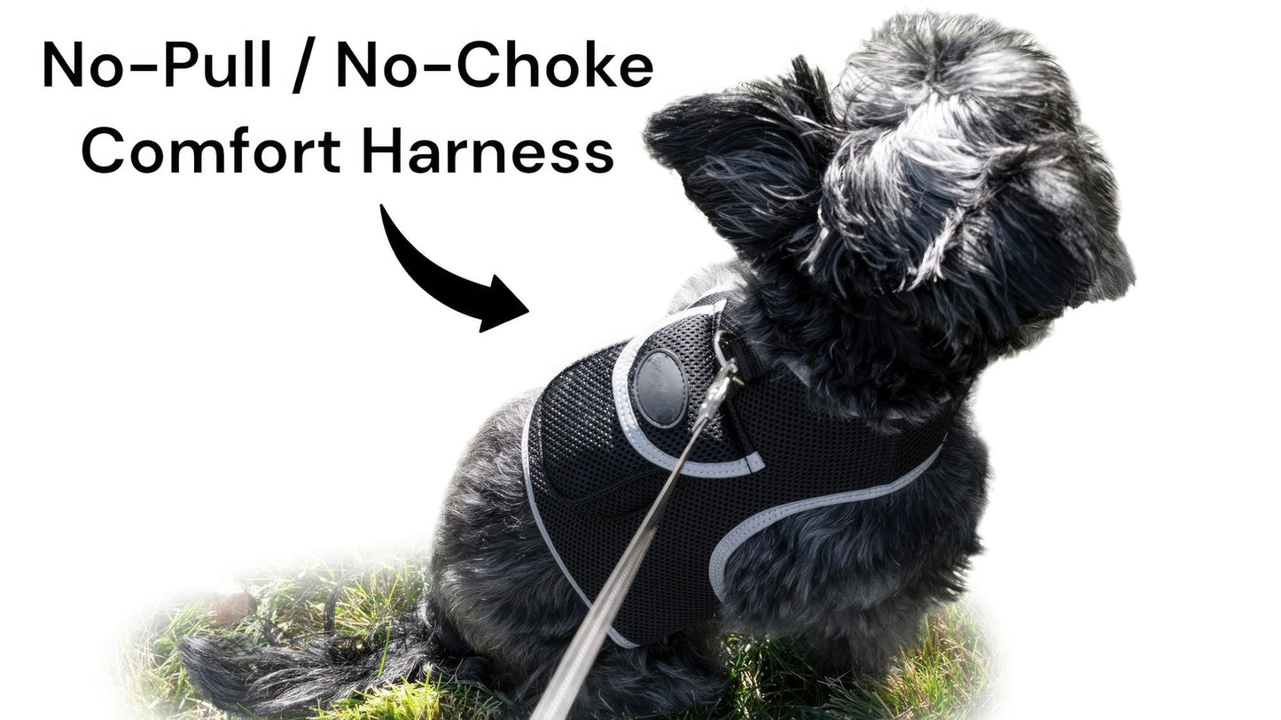 Black no-pull no-choke comfort dog harness with leash attachment ring