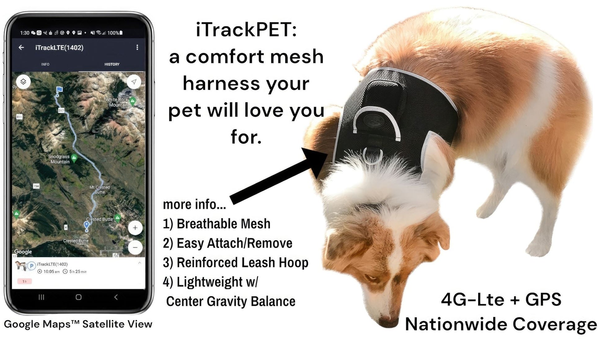 Dog GPS tracking harness, black mesh with white trim and adjustable strap