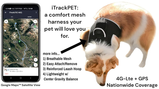 Dog GPS tracking harness, black mesh with white trim and adjustable strap
