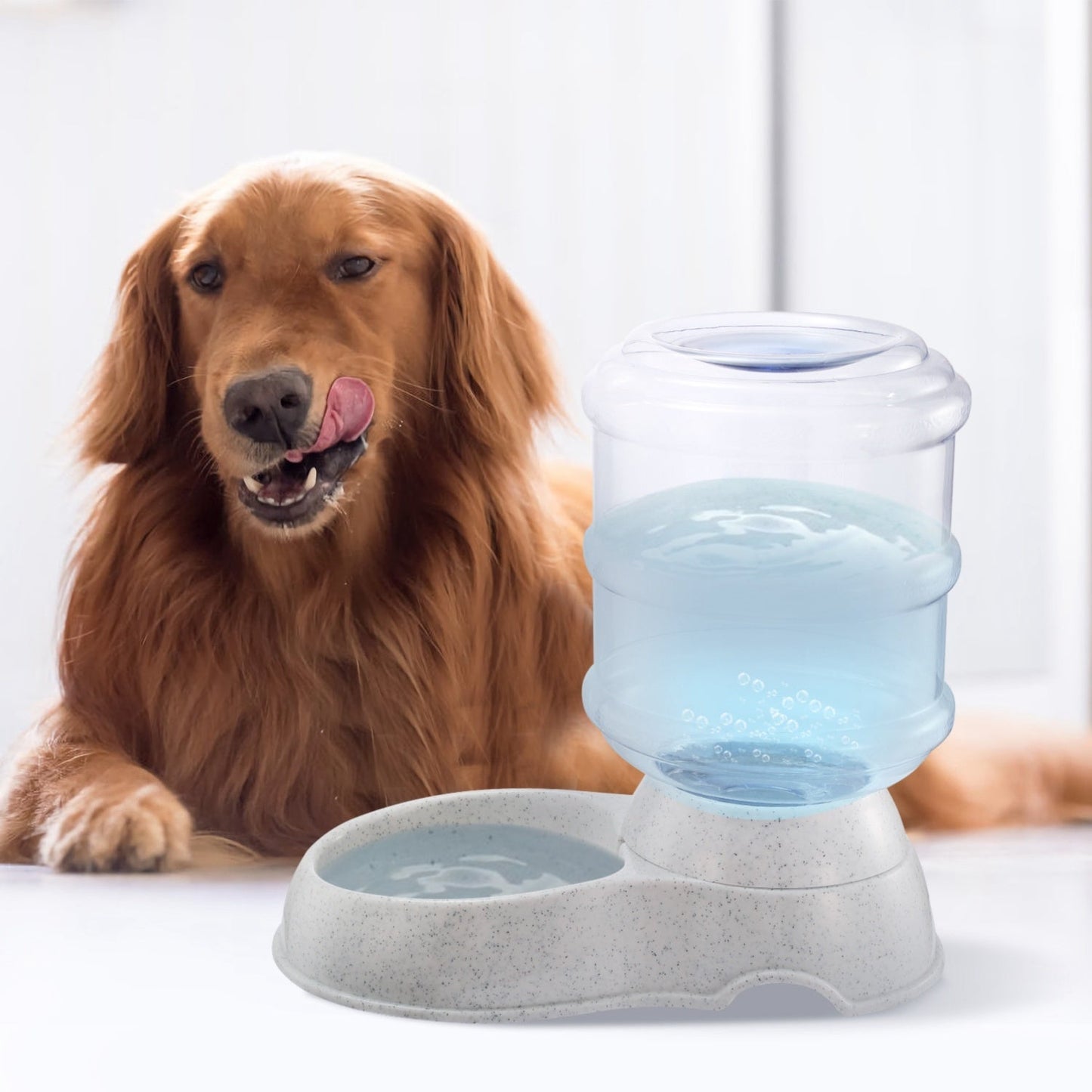 Pet water dispenser with clear barrel and speckled gray base beside golden retriever
