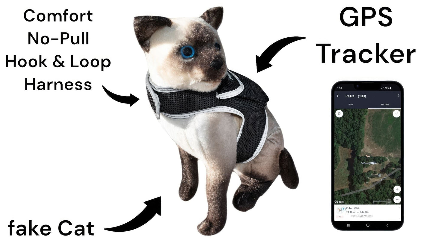 Dog wearing no-pull hook-and-loop harness with GPS tracker and phone display