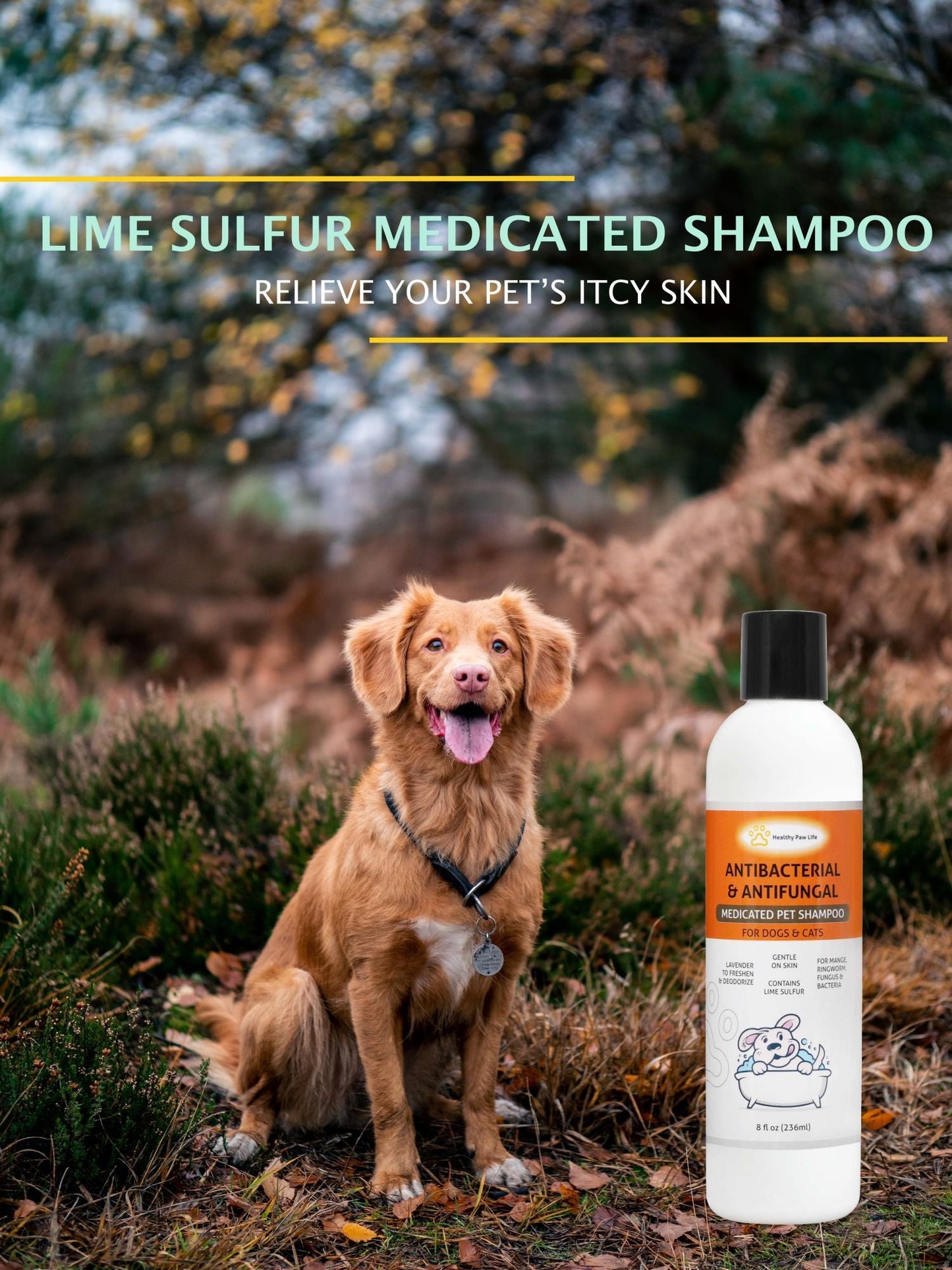 Medicated pet shampoo bottle with black cap and antibacterial antifungal label