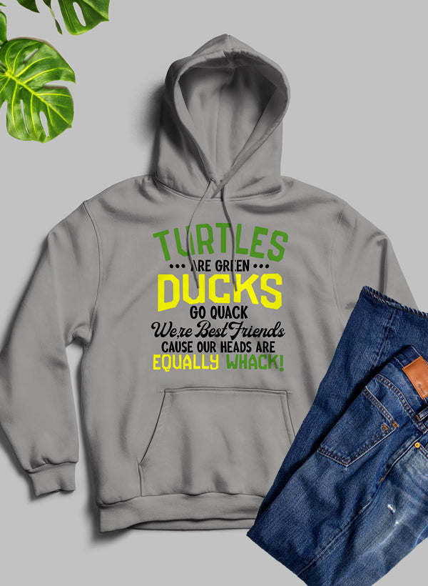 Kids gray graphic hoodie with hood and green/pink turtle/duck front print