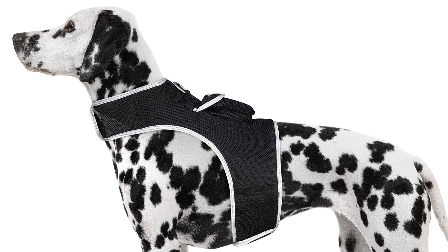 Spotted dog wearing black padded tracking harness collar with side buckle