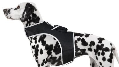 Spotted dog wearing black padded tracking harness collar with side buckle