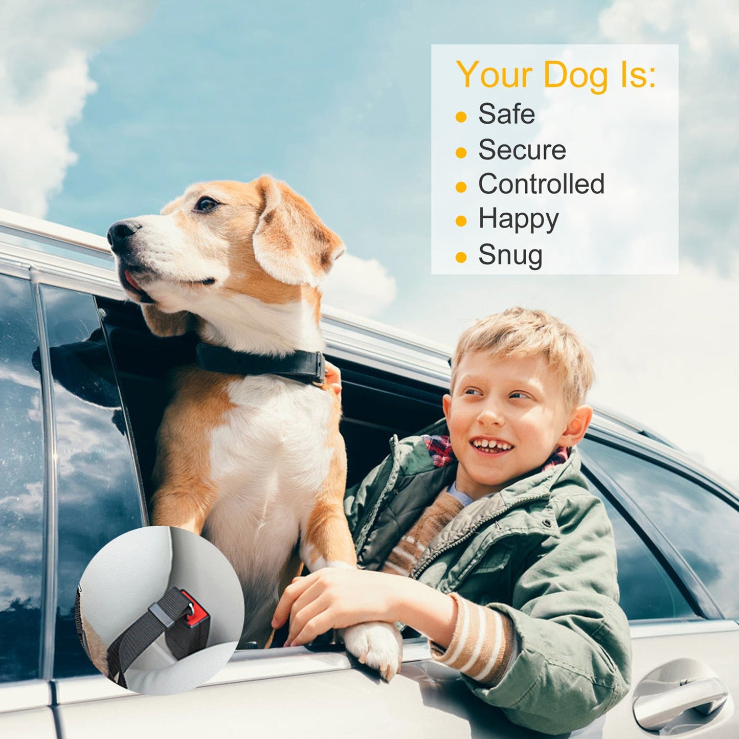 Black pet safety seat belt leash connected to a dog harness in a car.
