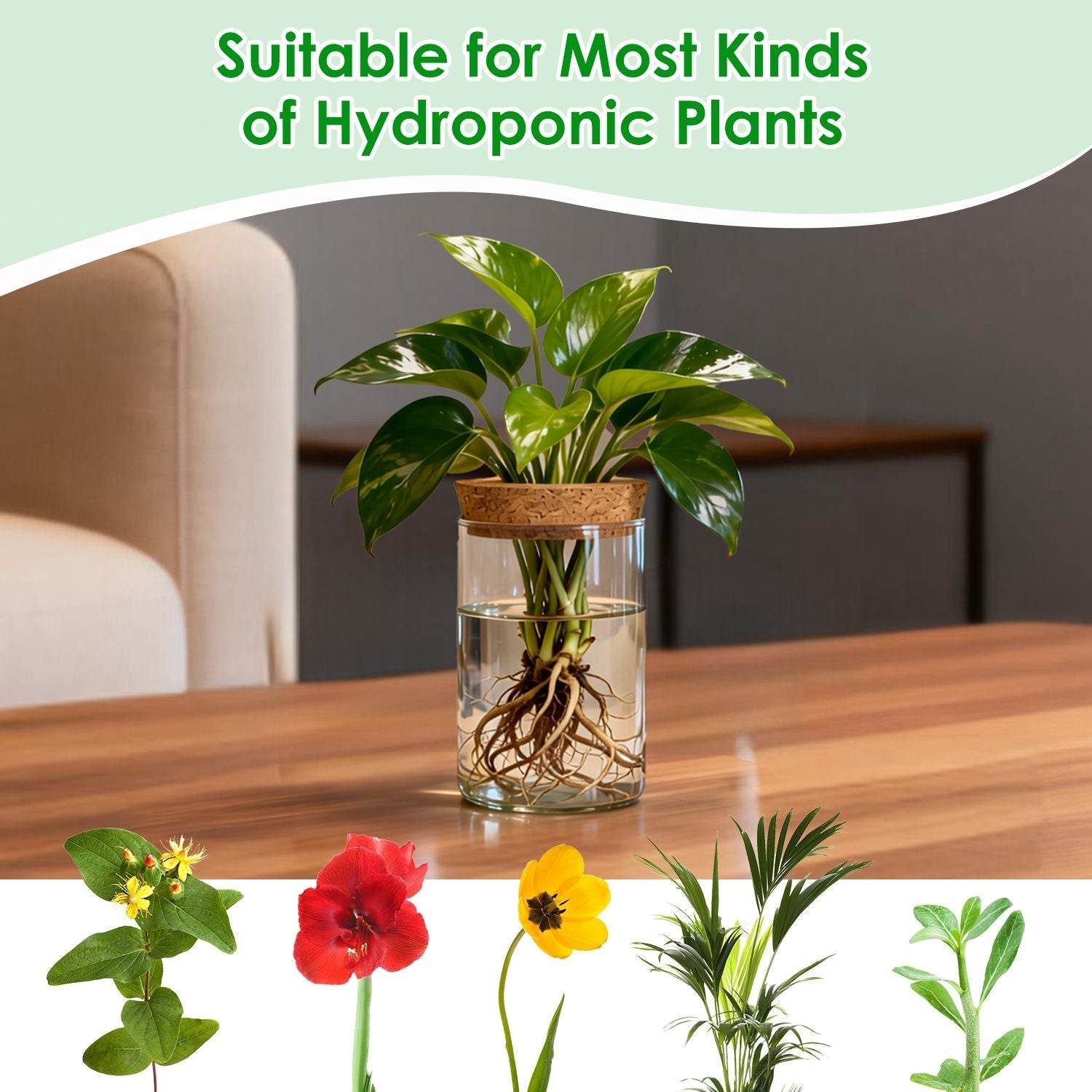 Clear glass propagation vase with cork lid and hydroponic plant cutting