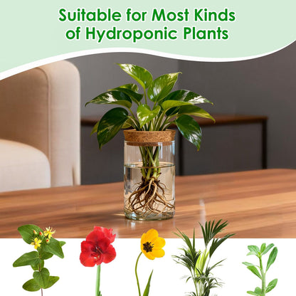 Clear glass propagation vase with cork lid and hydroponic plant cutting