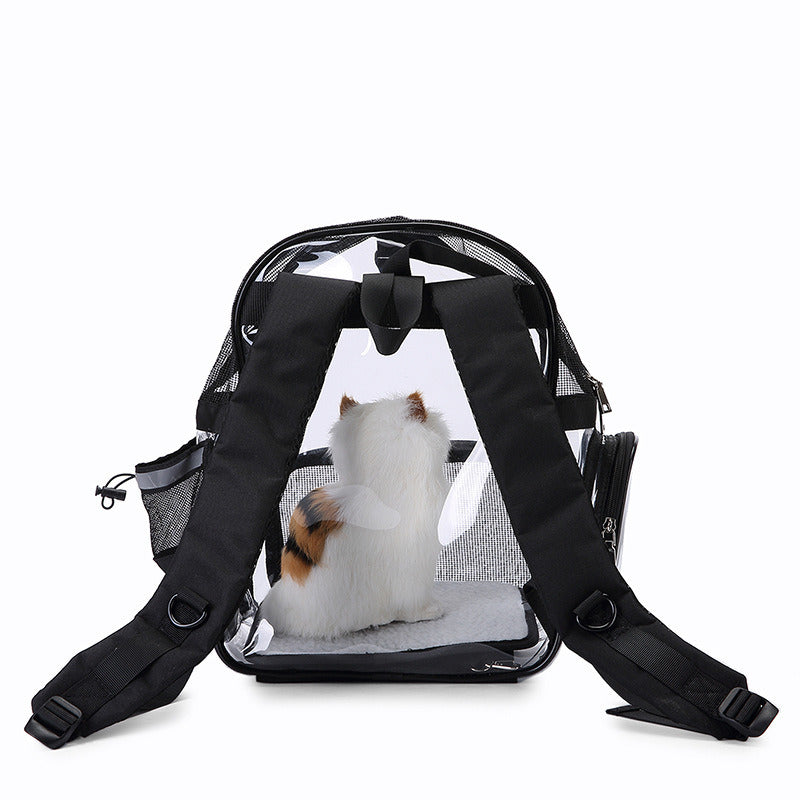 Transparent pet backpack carrier with adjustable shoulder straps and padded base