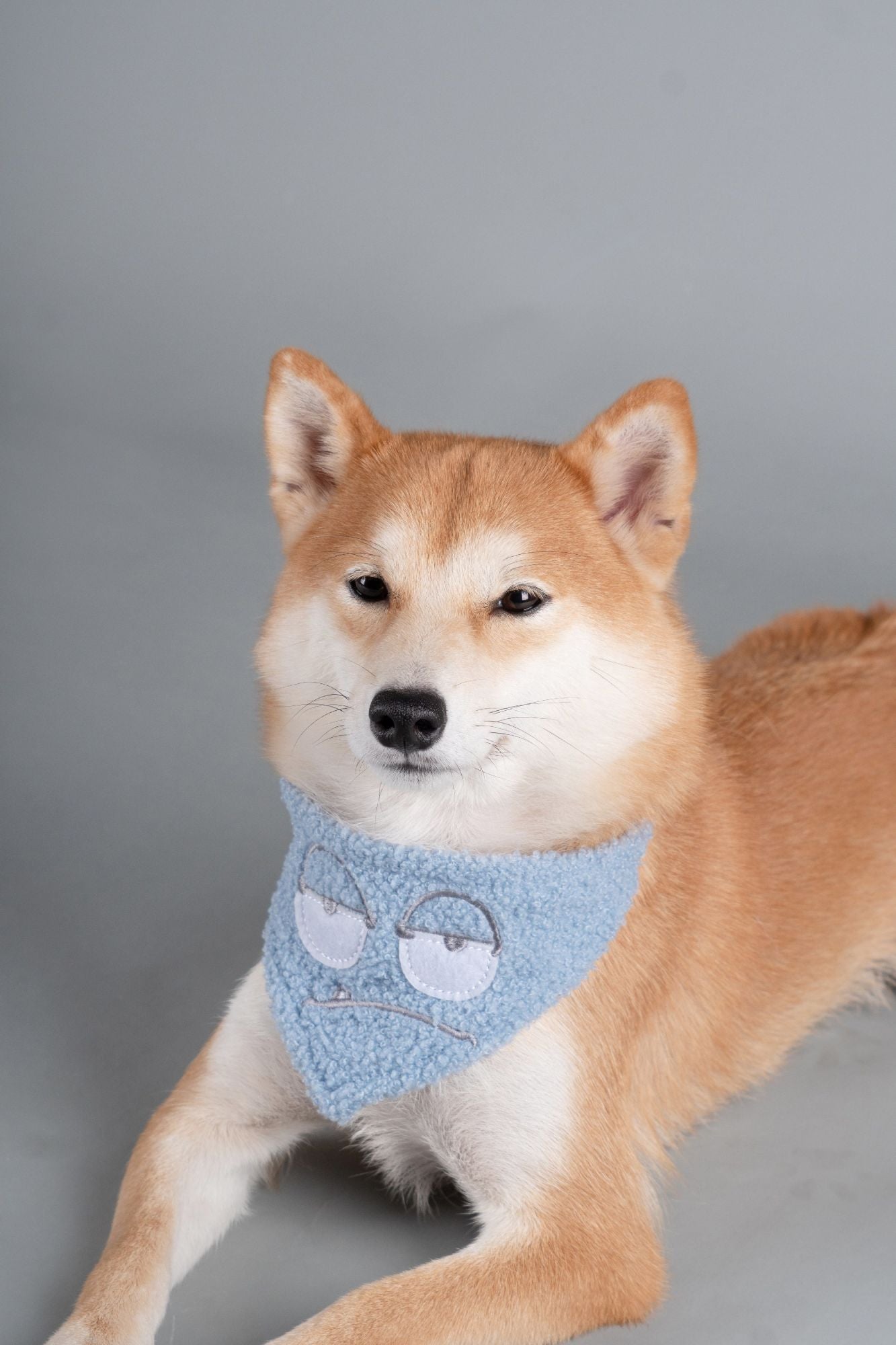 Cotton dog bandana and scarf in light blue with cyclops graphic at the neck