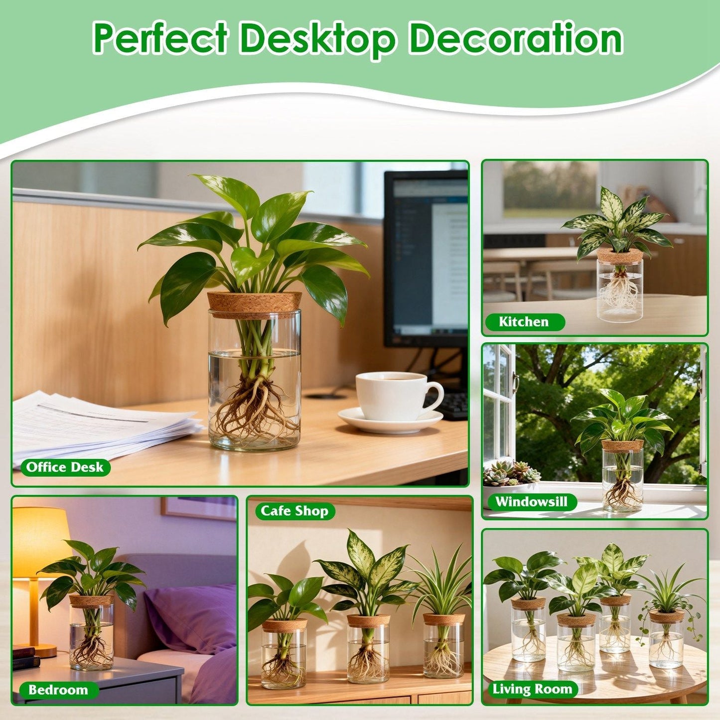 Set of clear glass propagation vases with cork lids displayed on a desktop