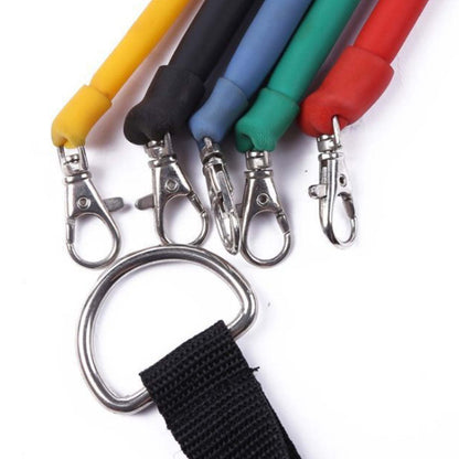 Assorted resistance bands with metal carabiners and black grip ring