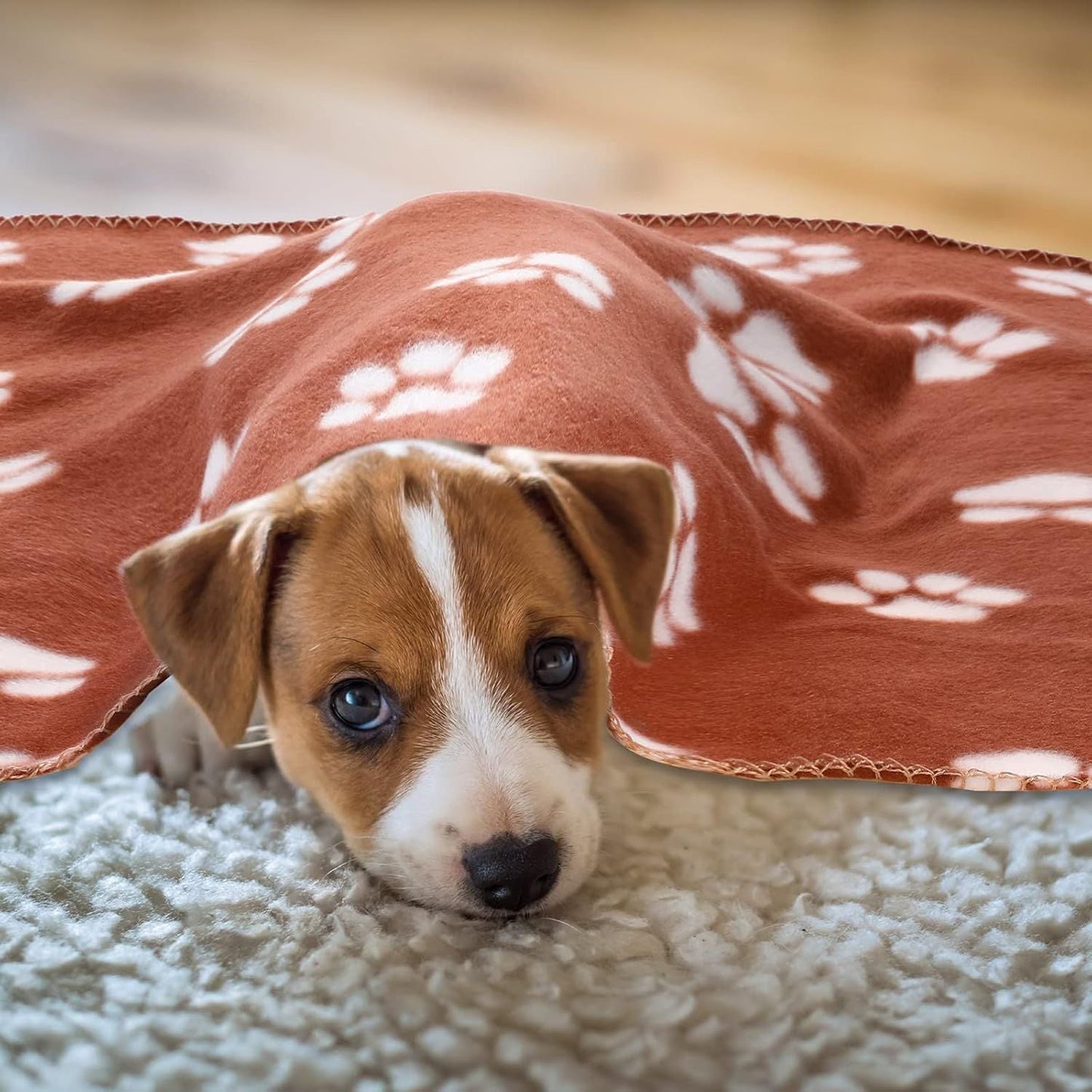 10 Pieces Pet Blankets with Paw Print Dog Cat Fleece Blankets Soft Warm Sleep Mat Pad Bed Cover for Kitten Puppy and Other Small Animals, 24 x 28 Inch