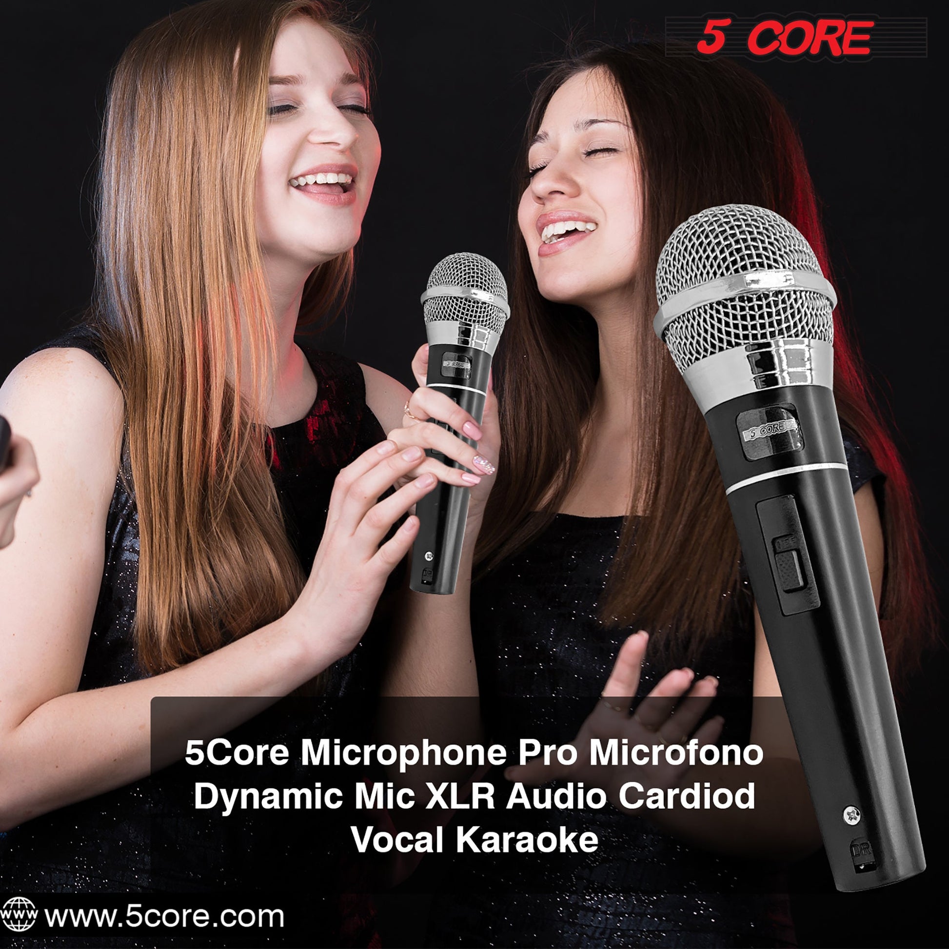 Two handheld microphones with silver mesh heads and black bodies for karaoke singing