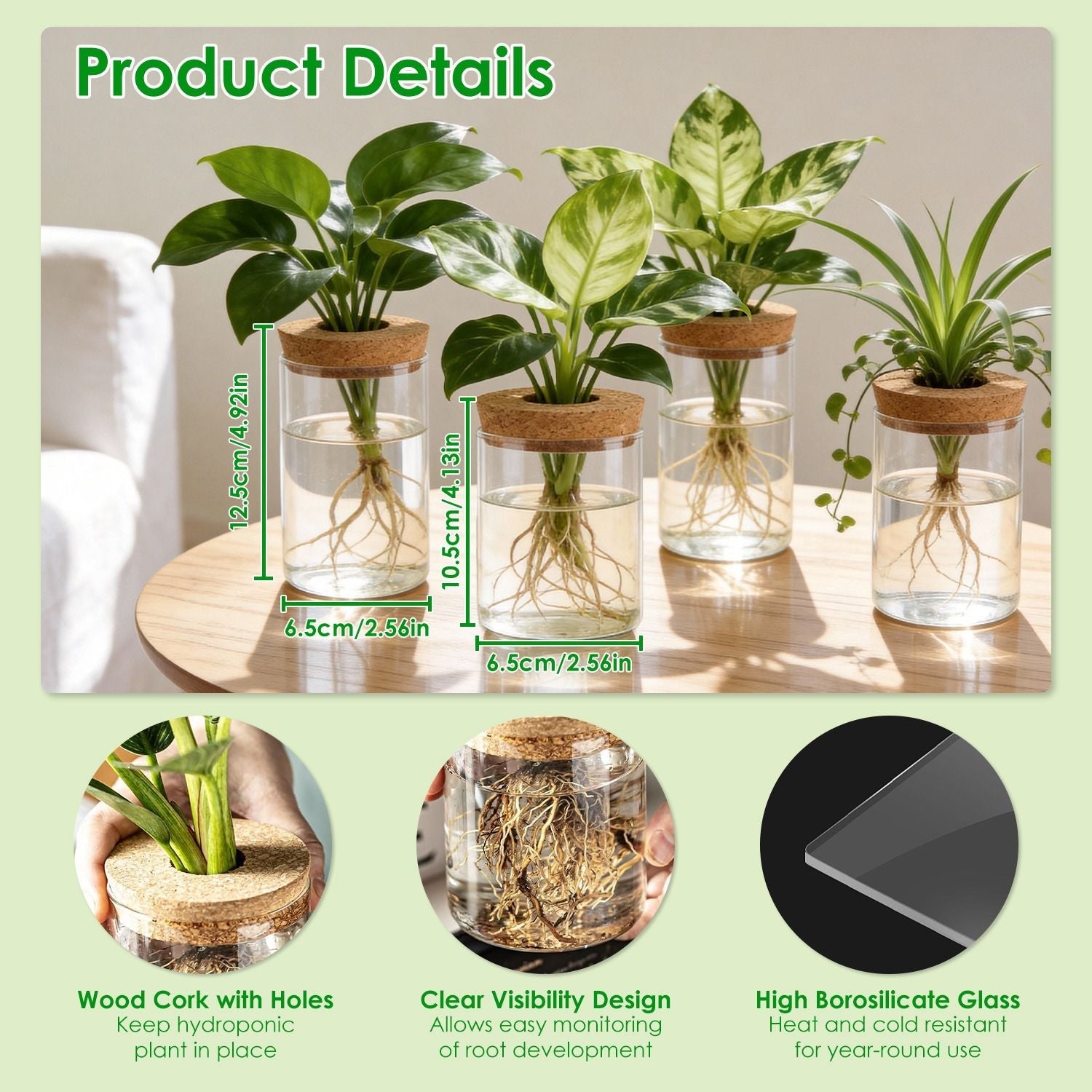 Four clear glass propagation vases with cork lids and rooted cuttings, mixed sizes