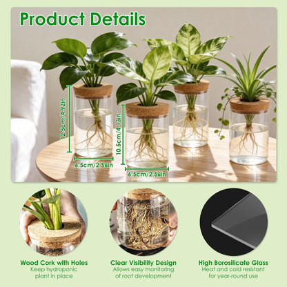 Four clear glass propagation vases with cork lids and rooted cuttings, mixed sizes