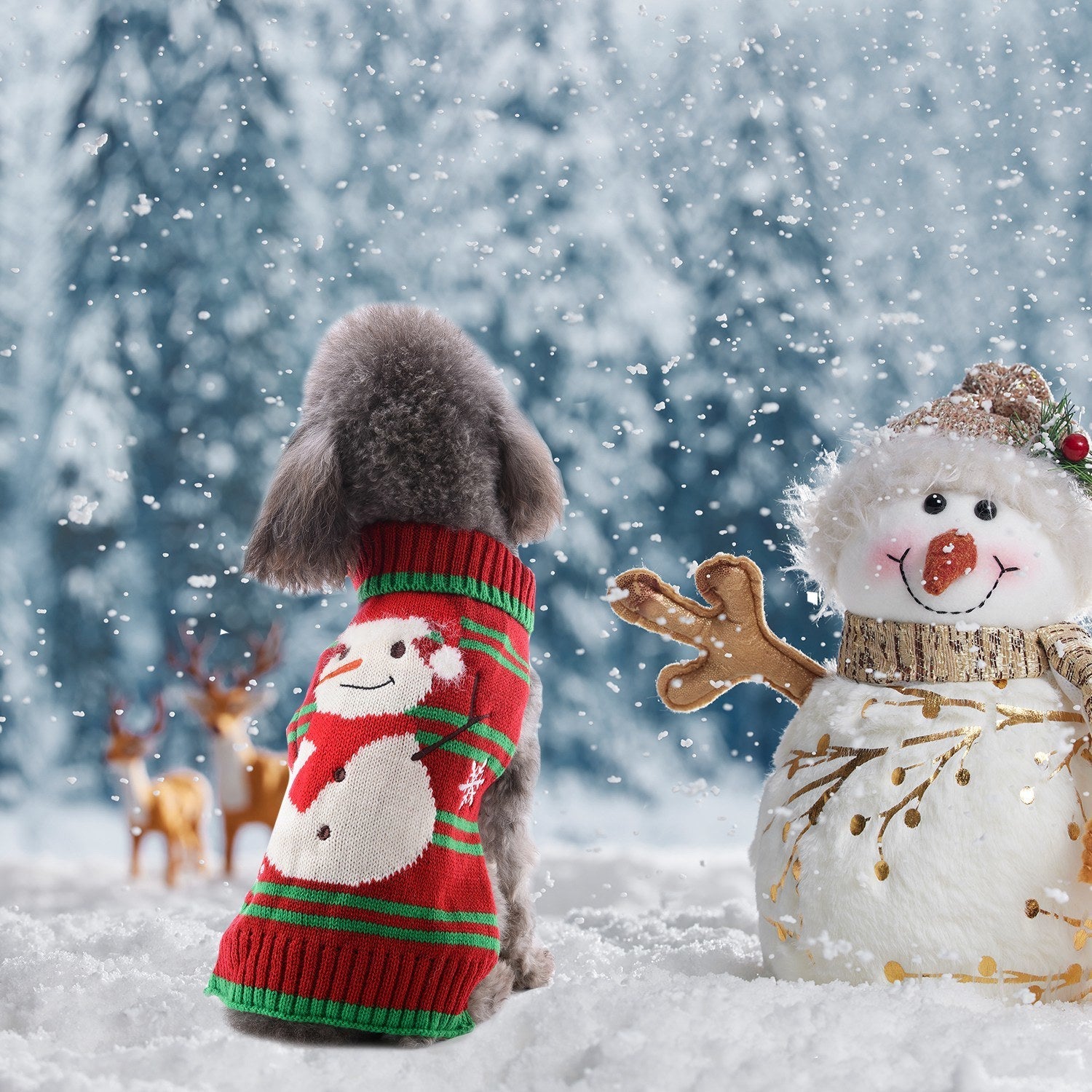 Green and red striped pet turtleneck sweater with snowman face on a fluffy pet