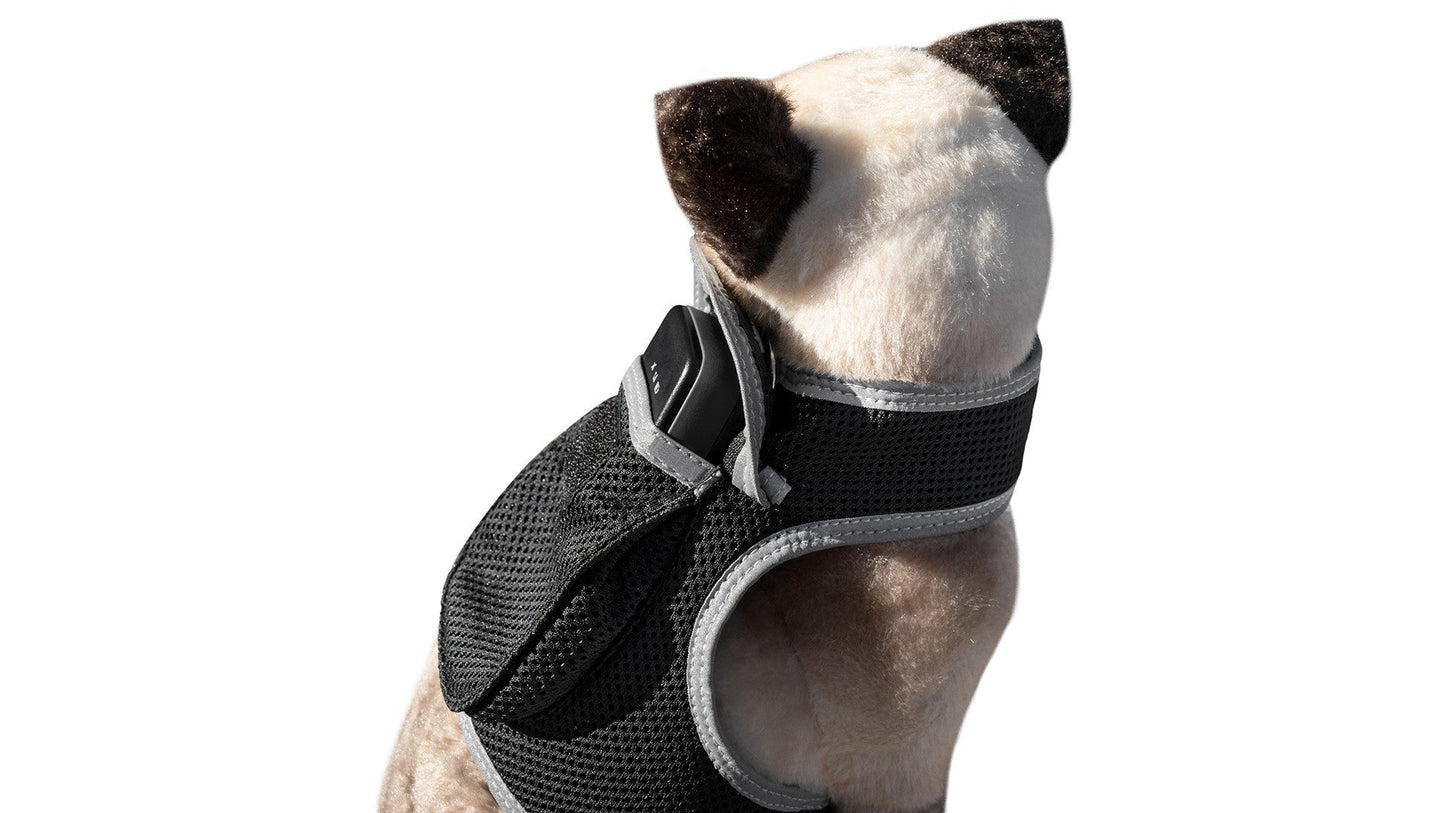 Dog wearing black padded tracking harness with adjustable neck and chest straps