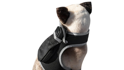 Dog wearing black padded tracking harness with adjustable neck and chest straps