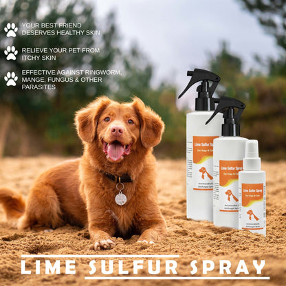 Lime sulfur spray bottle with pump sprayer and smaller travel bottle