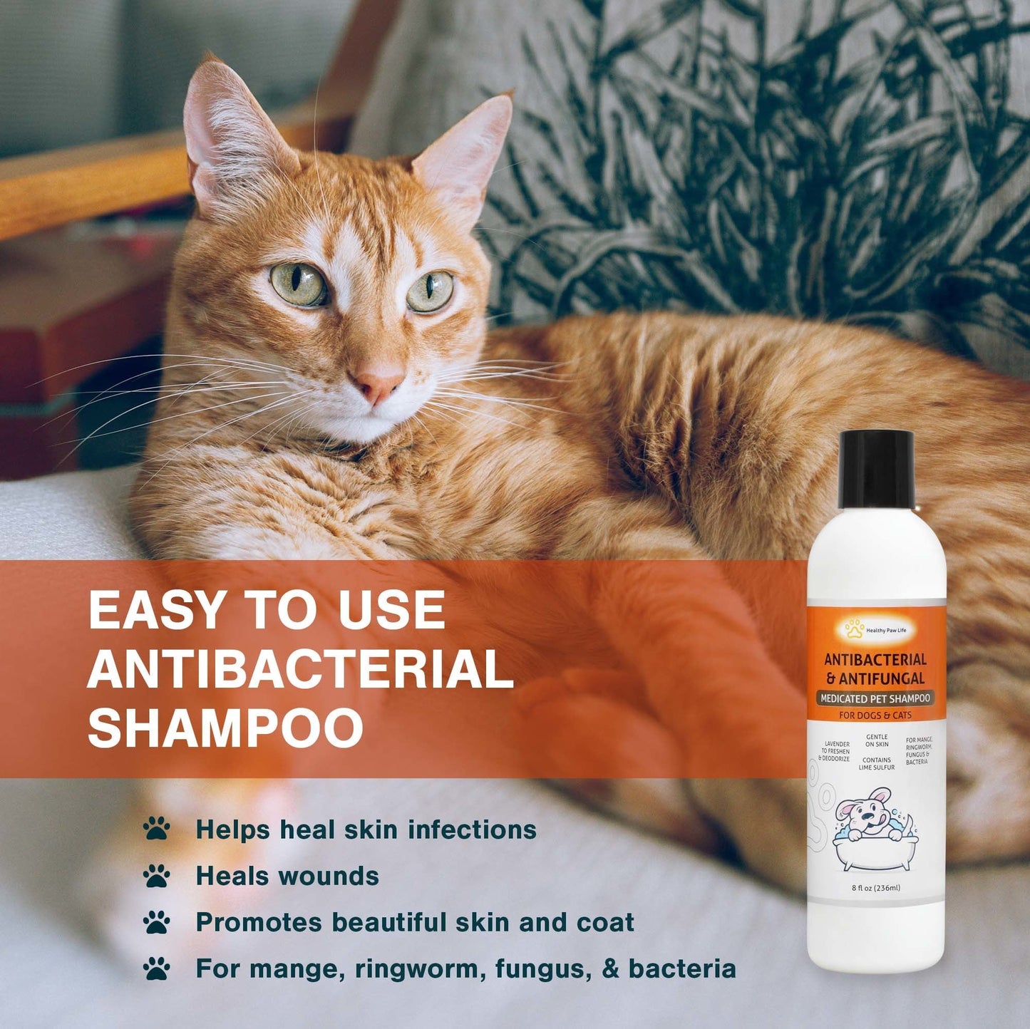 Medicated pet shampoo bottle with black cap beside a resting orange cat