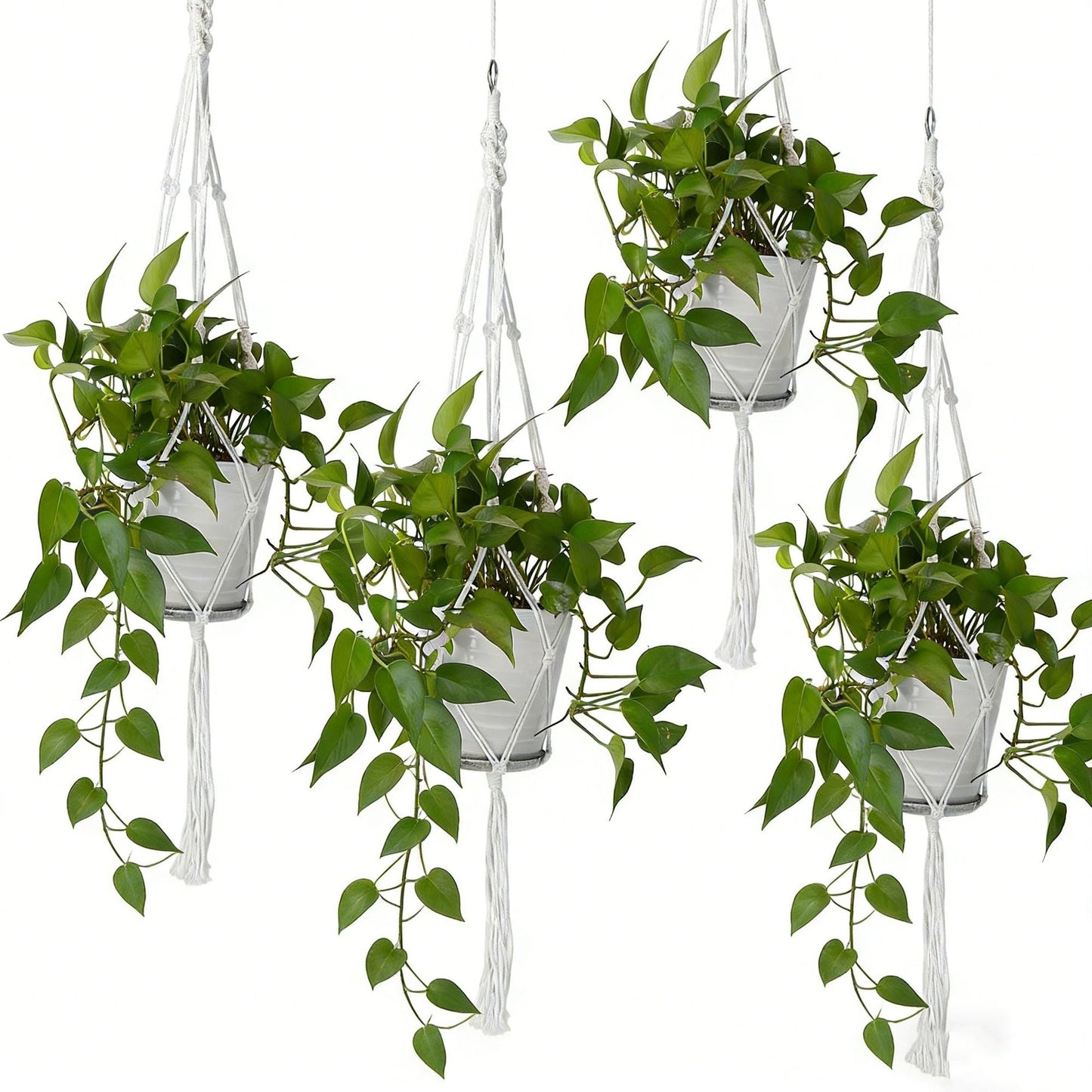4 PCS Heavy Duty Hanging Plant Holder Natural Cotton Rope Planter Basket with Hanging Ring,Eco-Friendly Hanging Planter Basket Durable Cotton Rope Plant Hanger Space Saving for Indoor Outdoor Garden