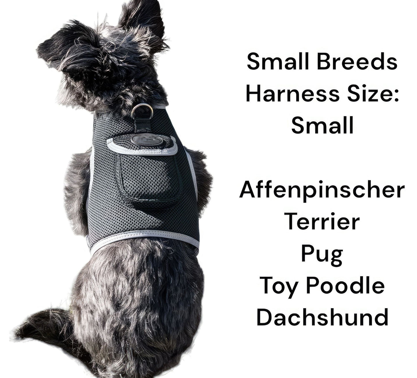 Small dog GPS tracker harness with integrated pocket, black and light gray mesh