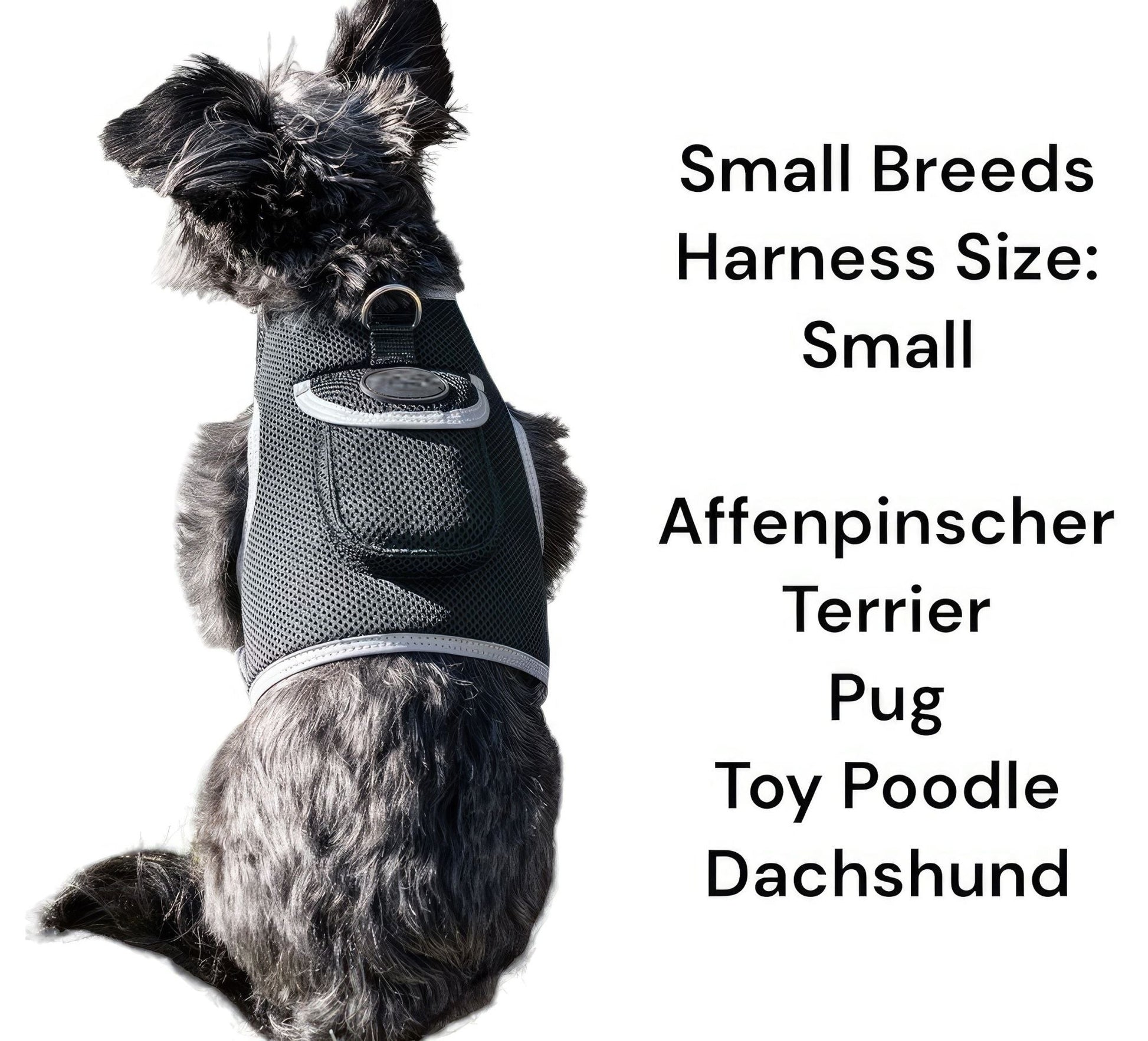 Small dog GPS tracker harness with integrated pocket, black and light gray mesh