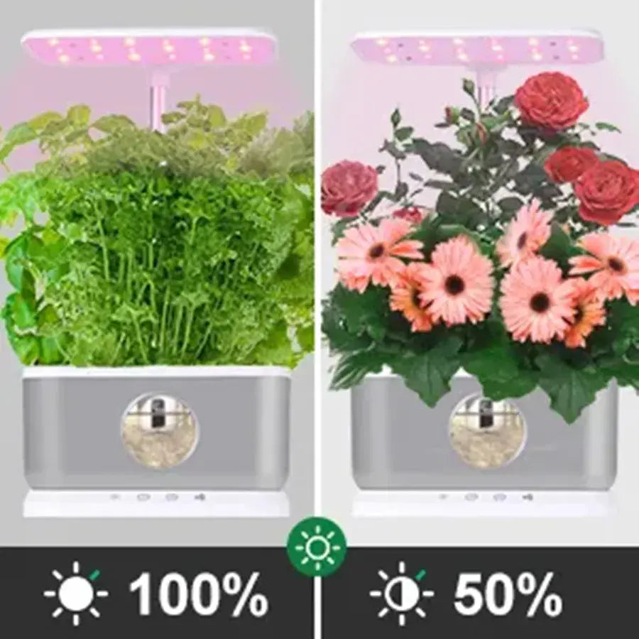 Hydroponics planter with LED grow light, showing green and flowering plants in gray tank