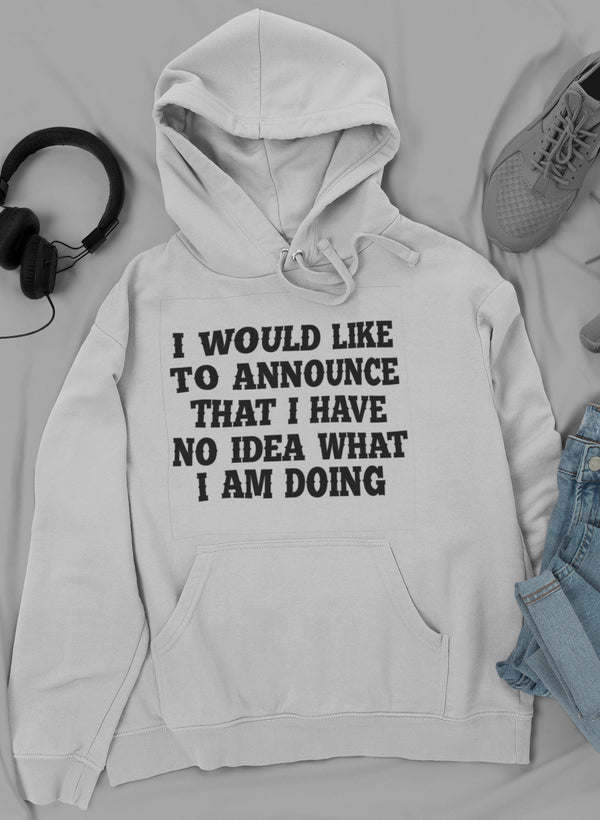 Light heather gray hoodie with kangaroo pocket, hood drawstrings, 'I WOULD LIKE...' front text