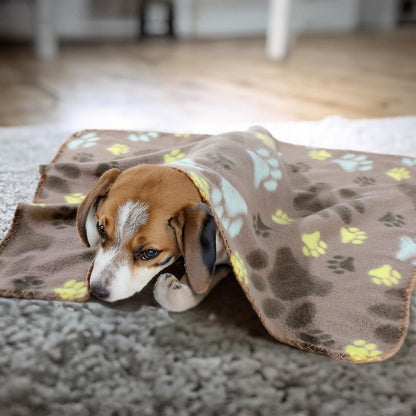 10 Pieces Pet Blankets with Paw Print Dog Cat Fleece Blankets Soft Warm Sleep Mat Pad Bed Cover for Kitten Puppy and Other Small Animals, 24 x 28 Inch