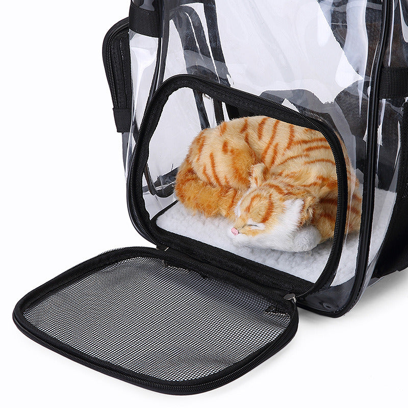 Transparent pet carrier backpack with mesh side window and orange kitten inside