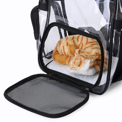 Transparent pet carrier backpack with mesh side window and orange kitten inside