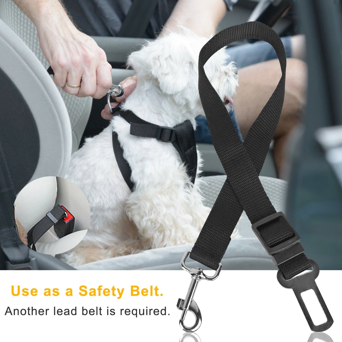 Black pet safety seat belt leash attached to a small white dog on the car seat.