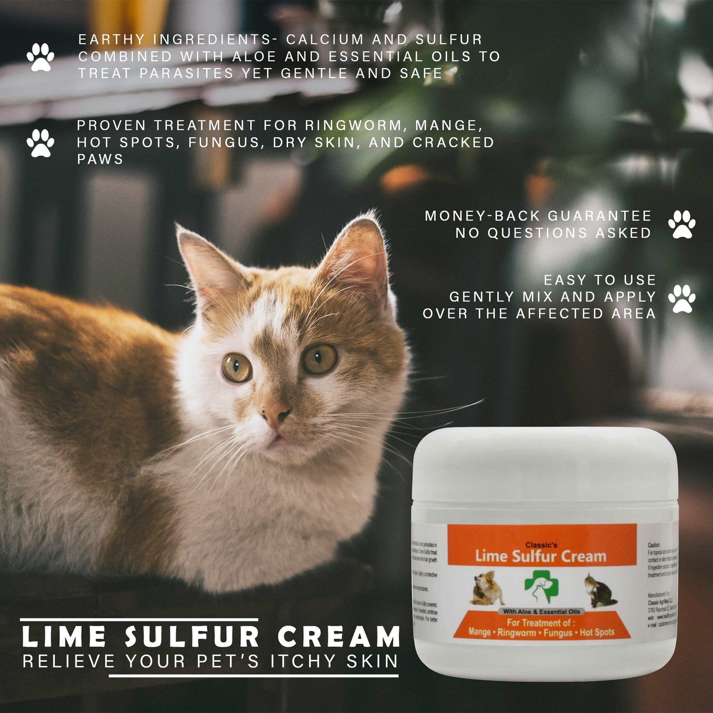 Lime Sulfur Cream jar with white lid and orange label beside a cat