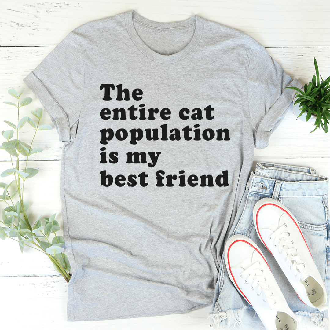 Heather gray crew-neck T-shirt with black "entire cat population is my best friend" text