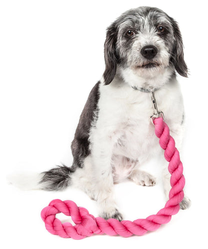 Pink woven shock-absorbing dog leash with braided rope, looped around a dog